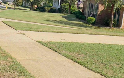 Photo of Nicole M.'s yard after getting lawn care in Montgomery, AL