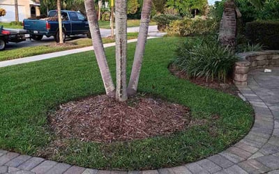 Photo of Evelyn S.'s yard after getting lawn care in Satellite Beach, FL