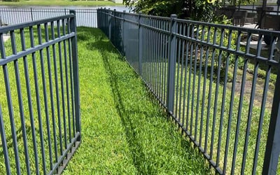 Photo of Carol W.'s yard after getting lawn care in Sebring, FL