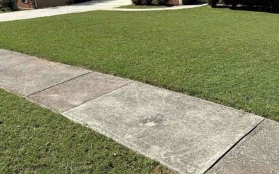 Photo of David S.'s yard after getting lawn care in Blountville, TN