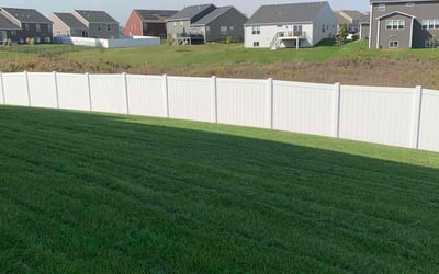 Photo of Sal I.'s yard after getting lawn care in Rosemount, MN