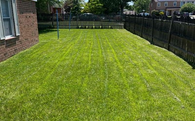 Photo of Maurice M.'s yard after getting lawn care in Independence, KY