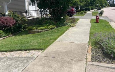Photo of Kassandra D.'s yard after getting lawn care in Clyde, NC