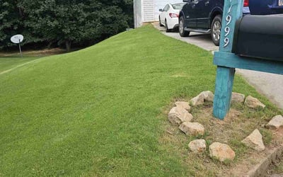 Photo of Johnathan B.'s yard after getting lawn care in Aubrey, TX