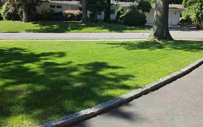 Photo of Rosita G.'s yard after getting lawn care in West Orange, NJ