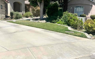 Photo of Sydney B.'s yard after getting lawn care in Visalia, CA