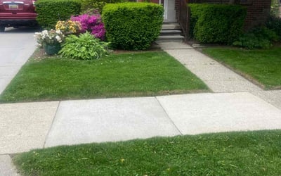 Photo of Leah W.'s yard after getting lawn care in Clanton, AL