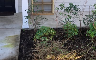 Photo of Alicia D.'s yard after getting lawn care in Charlotte, MI