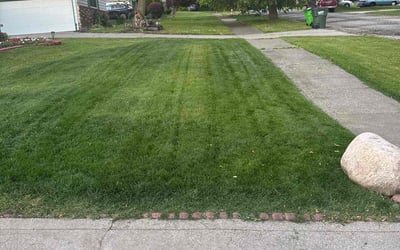 Photo of Tanya R.'s yard after getting lawn care in Cypress, TX