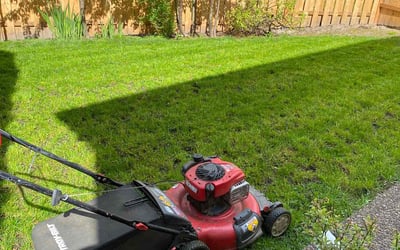 Photo of Virginia G.'s yard after getting lawn care in Waterloo, IA