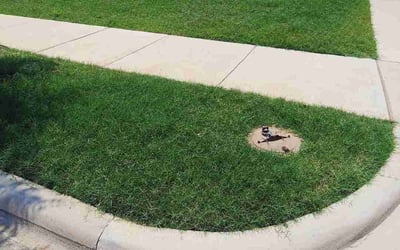 Photo of Ke C.'s yard after getting lawn care in Mineola, NY