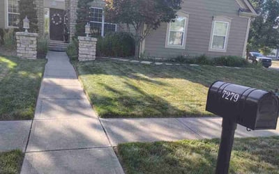 Photo of Michelle C.'s yard after getting lawn care in New Albany, OH