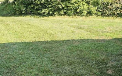 Photo of Tyree C.'s yard after getting lawn care in Westfield, IN