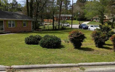 Photo of Danielle W.'s yard after getting lawn care in Tarentum, PA