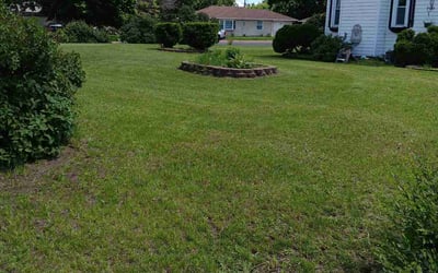 Photo of Katherine D.'s yard after getting lawn care in Bloomington, MN