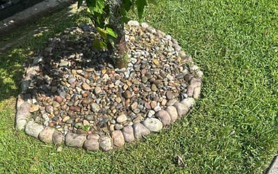 Photo of Sal S.'s yard after getting lawn care in Simi Valley, CA