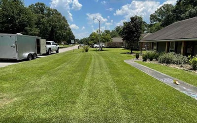 Photo of Baili M.'s yard after getting lawn care in Durham, NC