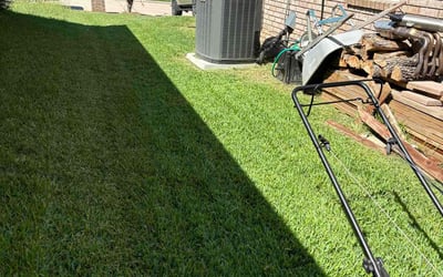 Photo of Emily W.'s yard after getting lawn care in Richmond Hill, NY