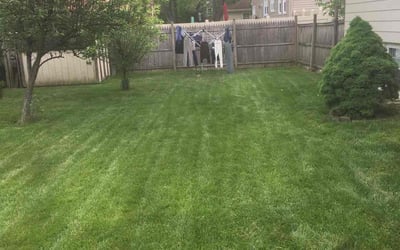 Photo of Robert W.'s yard after getting lawn care in Burlington, NJ