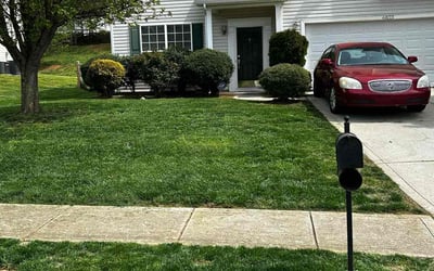 Photo of Jailyn W.'s yard after getting lawn care in Taylor, MI