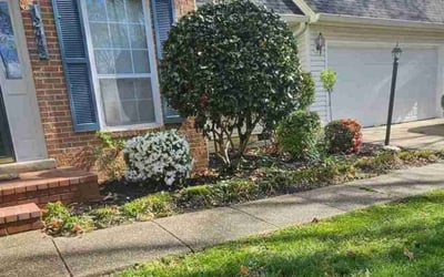 Photo of Michelle P.'s yard after getting lawn care in Berryville, VA