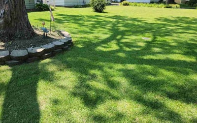 Photo of Kenneth R.'s yard after getting lawn care in Affton, MO