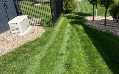 Photo of Lana E.'s yard after getting lawn care in Lincoln, NE