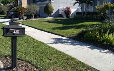 Photo of Mathew W.'s yard after getting lawn care in Winter Garden, FL
