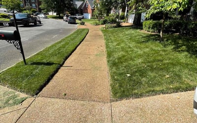 Photo of Breann B.'s yard after getting lawn care in Franklin, TN