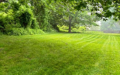 Photo of LILLETH B.'s yard after getting lawn care in Scarborough, ME