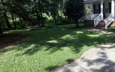 Photo of Henry M.'s yard after getting tree care in Auburn, WA