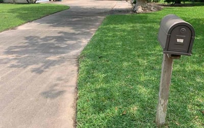 Photo of Amy H.'s yard after getting lawn care in Alvin, TX