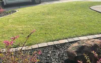 Photo of Nunya T.'s yard after getting lawn care in Placerville, CA