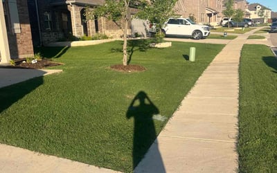 Photo of Elaine B.'s yard after getting lawn care in Waterford, MI