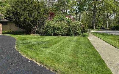 Photo of Mikal C.'s yard after getting lawn care in Waldorf, MD