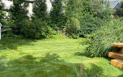 Photo of Amanda A.'s yard after getting lawn care in West Bloomfield, MI