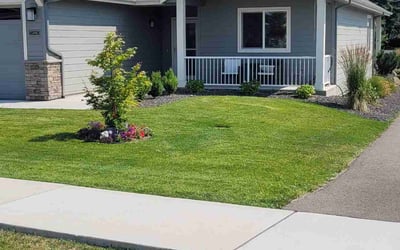 Photo of Dana K.'s yard after getting lawn care in Smithtown, NY