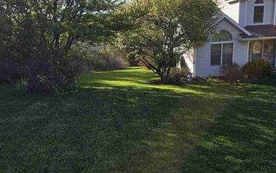 Photo of Brandon P.'s yard after getting lawn care in Moscow, PA