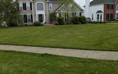 Photo of Donna A.'s yard after getting lawn care in Fall River, MA