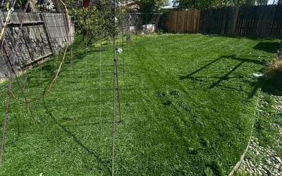 Photo of Jennifer M.'s yard after getting lawn care in North Highlands, CA