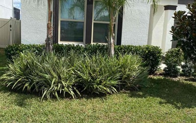 Photo of Rebekah M.'s yard after getting lawn care in Defuniak Springs, FL