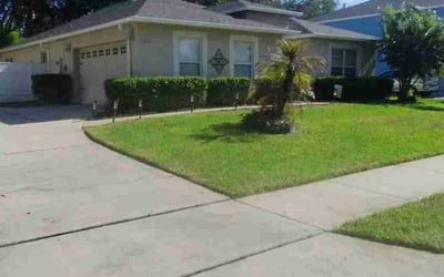 Photo of Robyn C.'s yard after getting lawn care in Apopka, FL