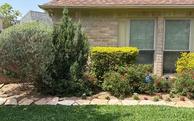 Photo of Ethel S.'s yard after getting lawn care in Hingham, MA