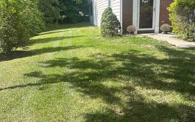 Photo of Katherine C.'s yard after getting lawn care in Lowell, MA