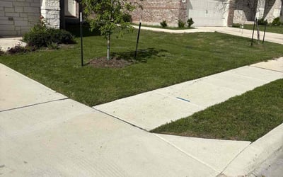 Photo of Penny F.'s yard after getting lawn care in Hamburg, NY