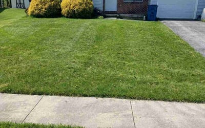 Photo of Kimberly M.'s yard after getting lawn care in Dillsburg, PA