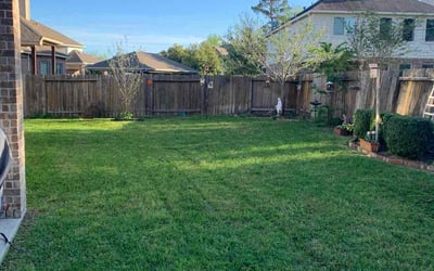 Photo of Shashi P.'s yard after getting lawn care in Kingwood, TX
