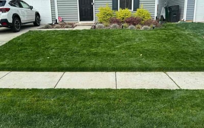 Photo of Karen S.'s yard after getting lawn care in New Brunswick, NJ