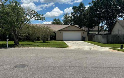 Photo of Ryan B.'s yard after getting lawn care in Tampa, FL