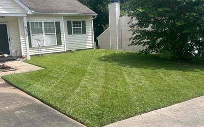 Photo of Ronnel A.'s yard after getting lawn care in Saint Cloud, FL